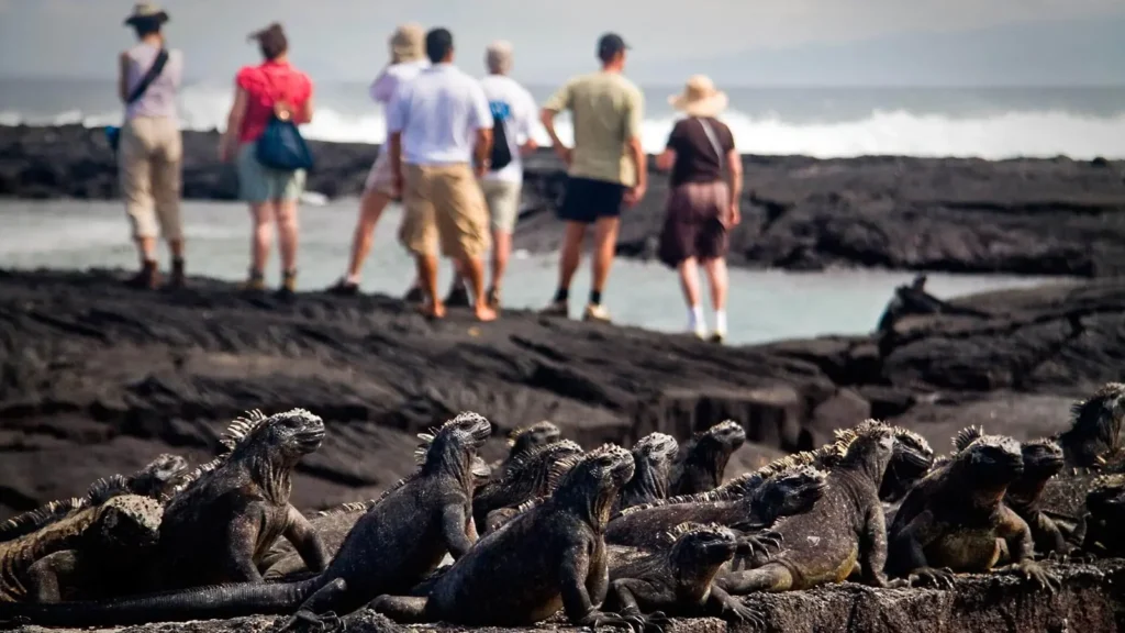 Grand Queen Beatriz Galapagos Cruise Activities