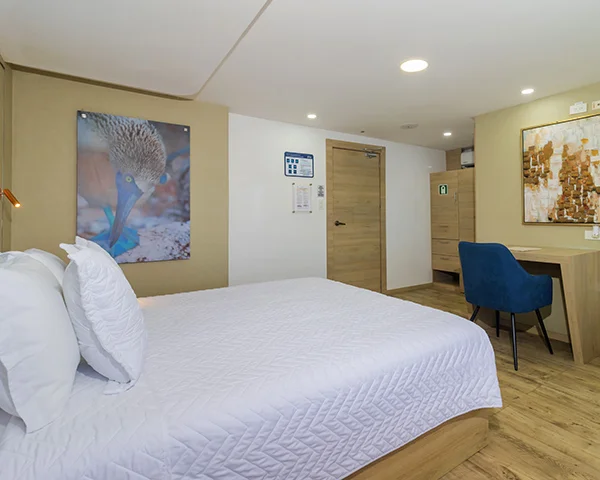 M/Y Grand Queen Beatriz cabin