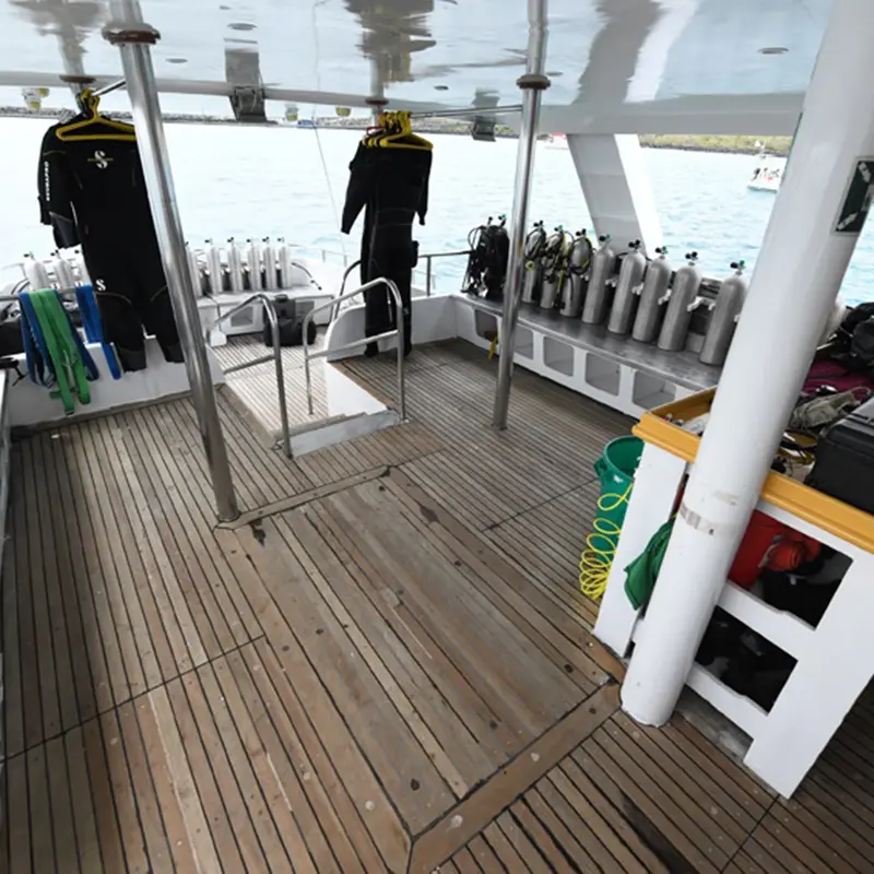 Humboldt explorer diving 3