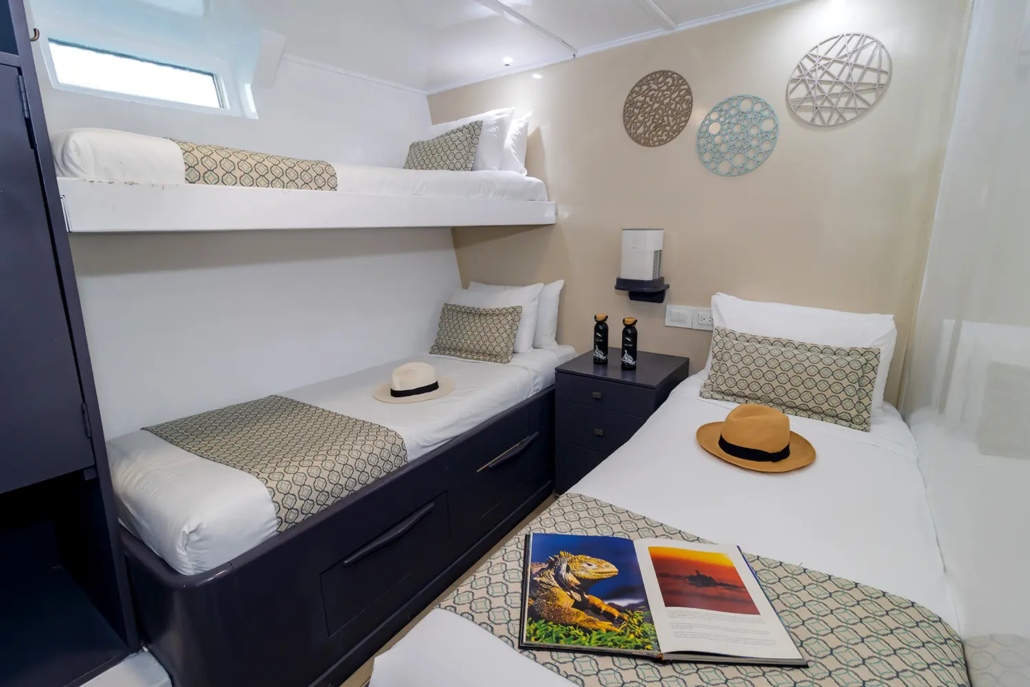 Monserrat galapagos yacht cabin