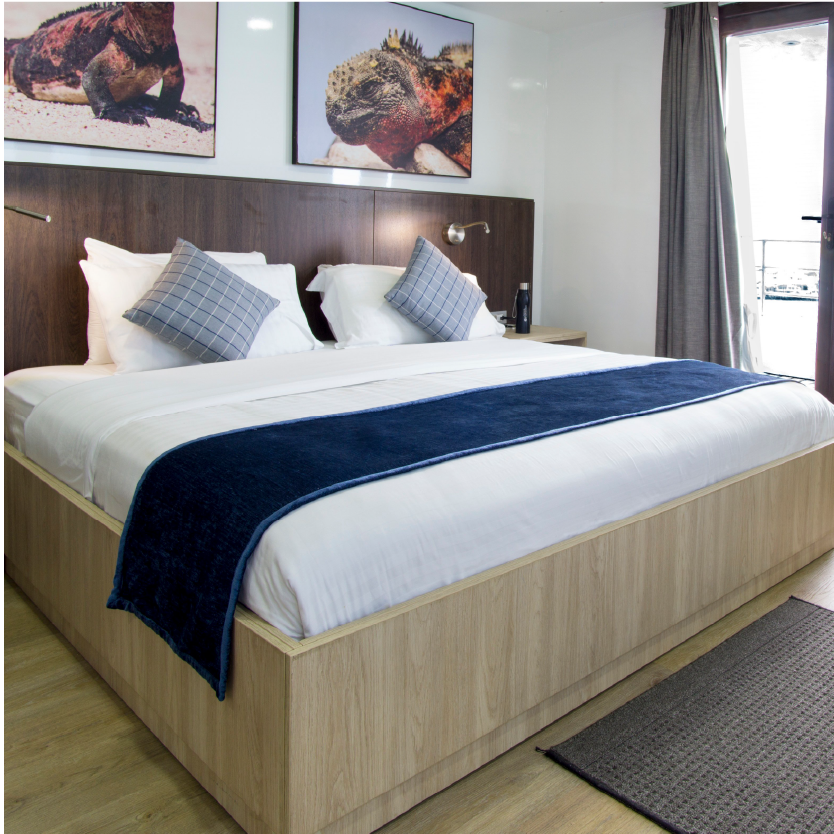 M/Y Natural Paradis cabin
