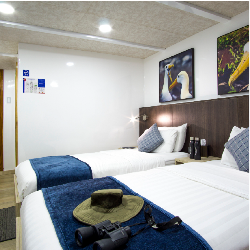 M/Y Natural Paradis cabin