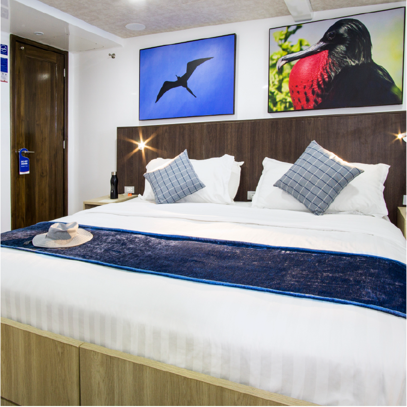 M/Y Natural Paradis cabin