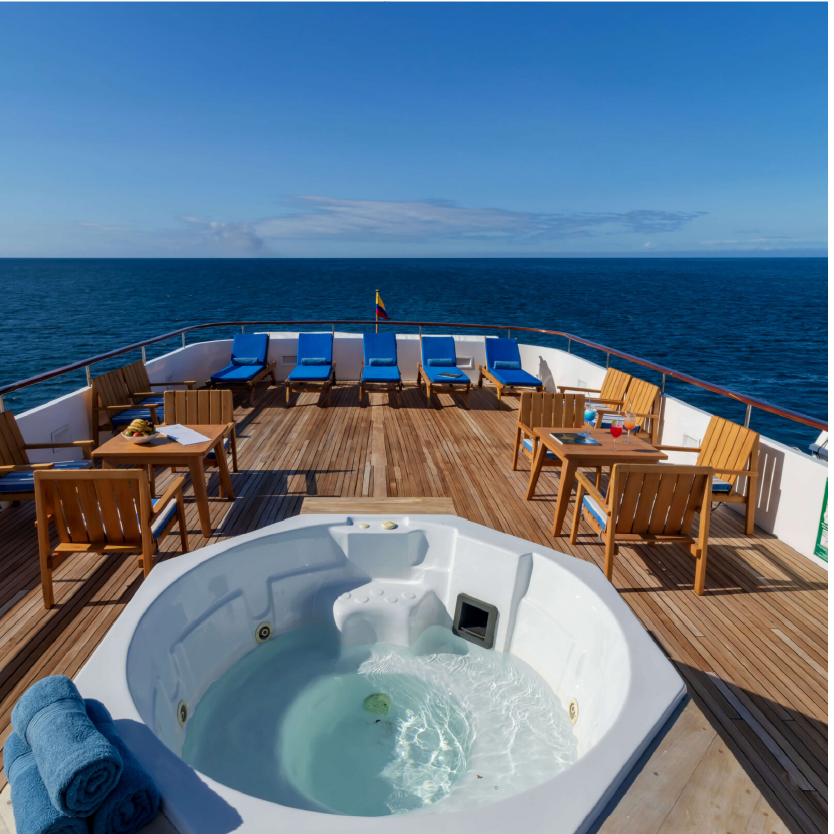 M/Y Passion deck