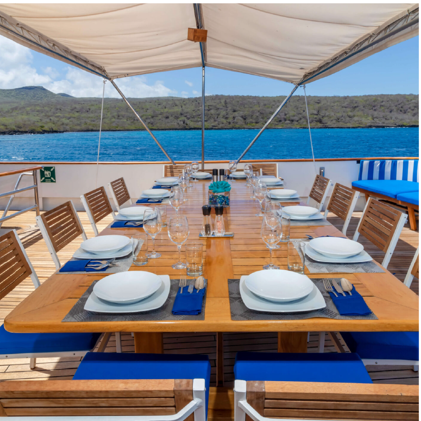 M/Y Passion deck