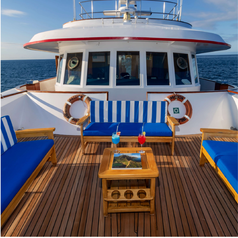M/Y Passion deck