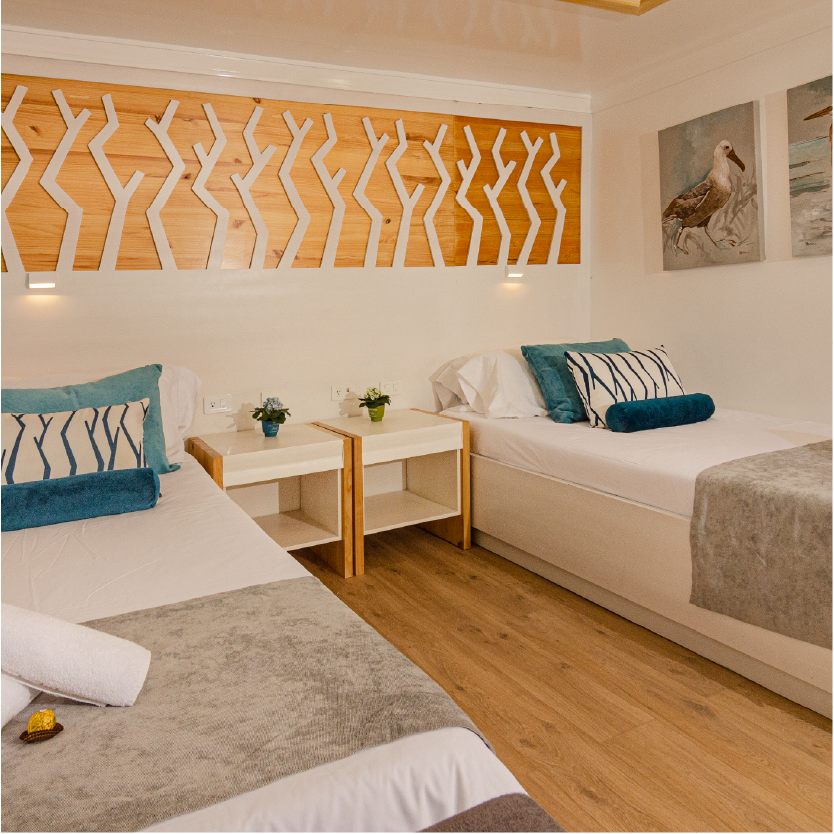 Galapagos Sea Star cabin