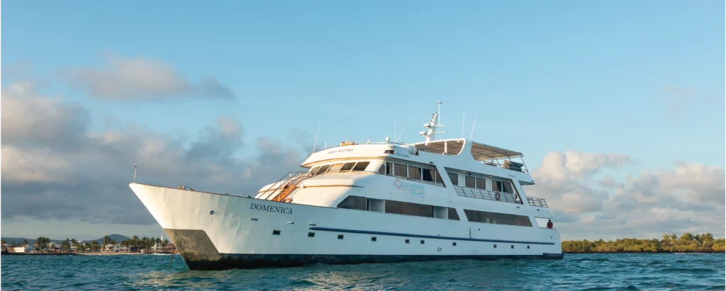 Luxury Galapagos tours