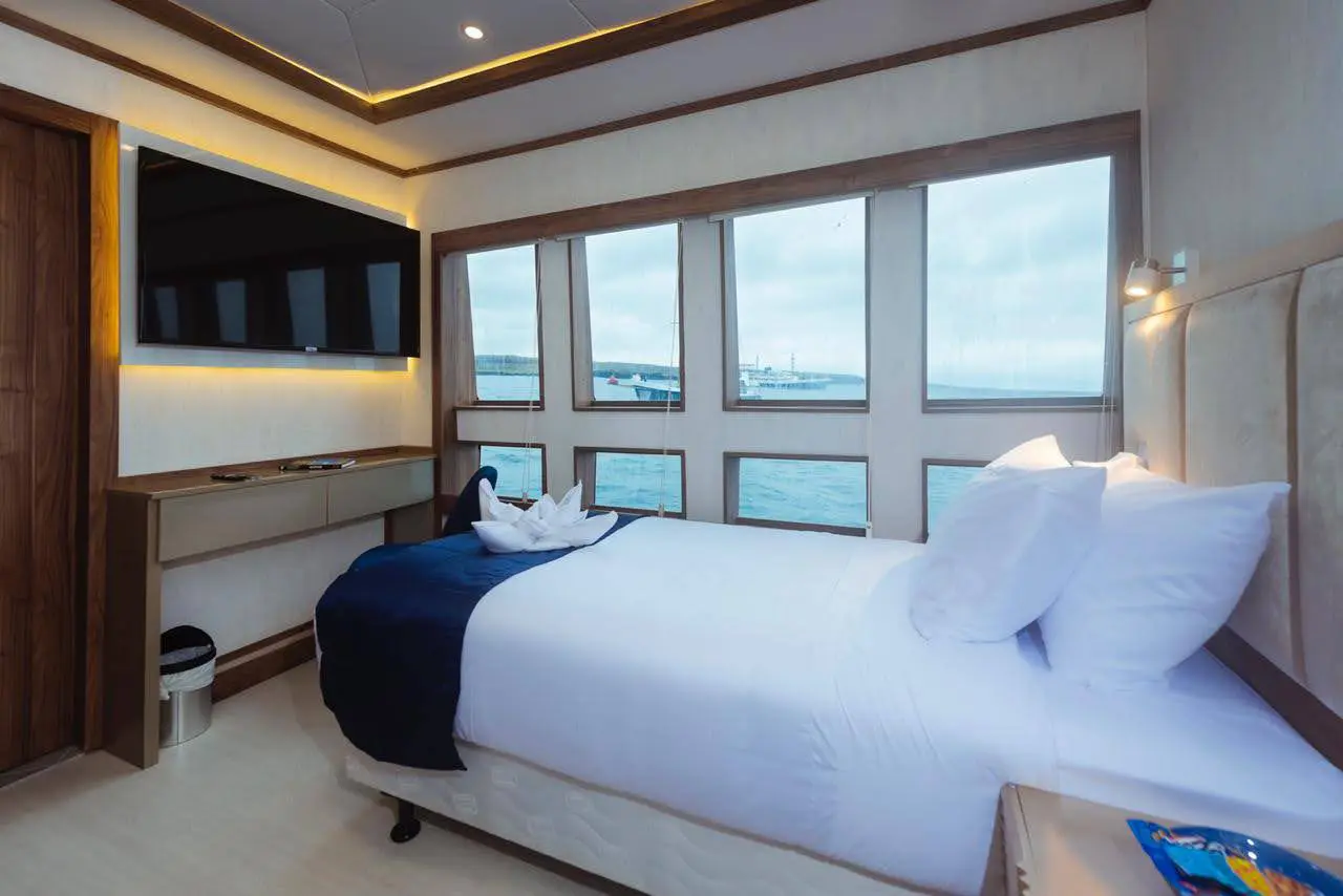 M/V Tiburon Explorer cabin