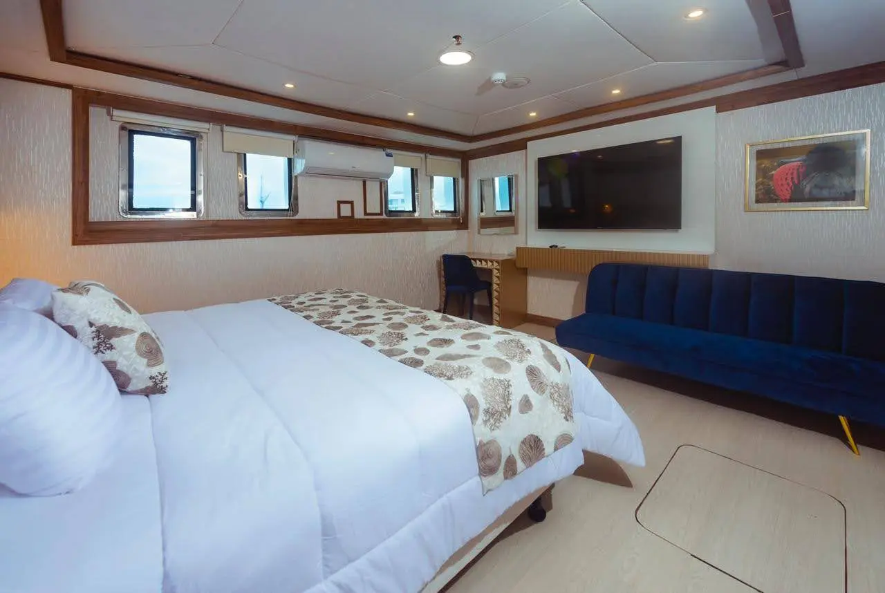 M/V Tiburon Explorer cabin