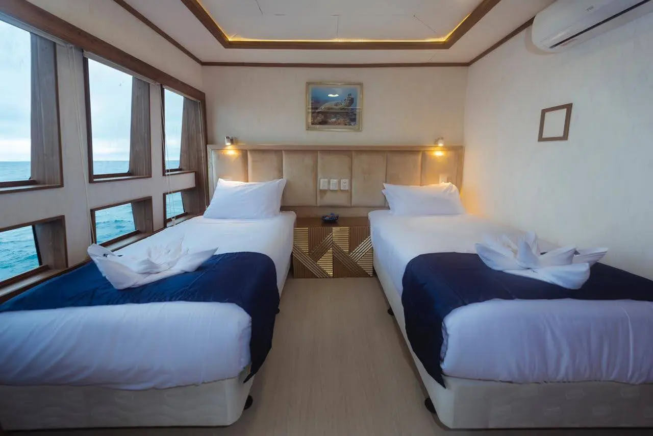 M/V Tiburon Explorer cabin