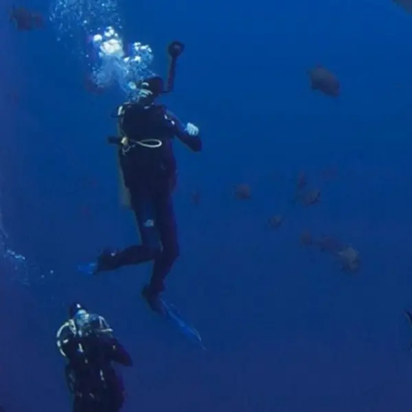 Tiburon explorer dive day2