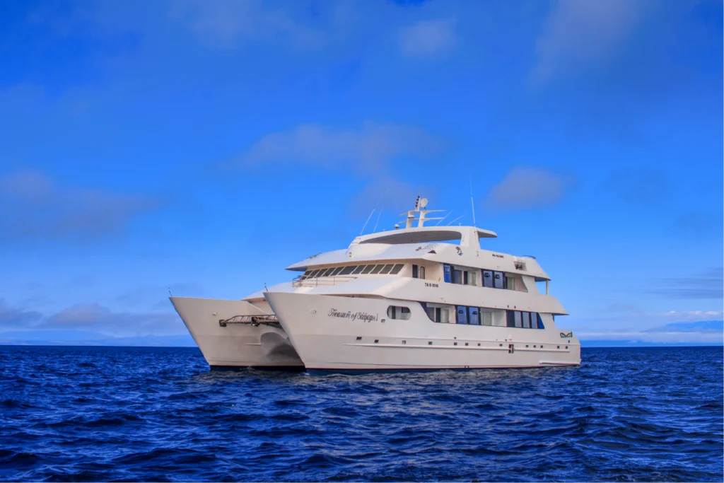 Motor Catamaran