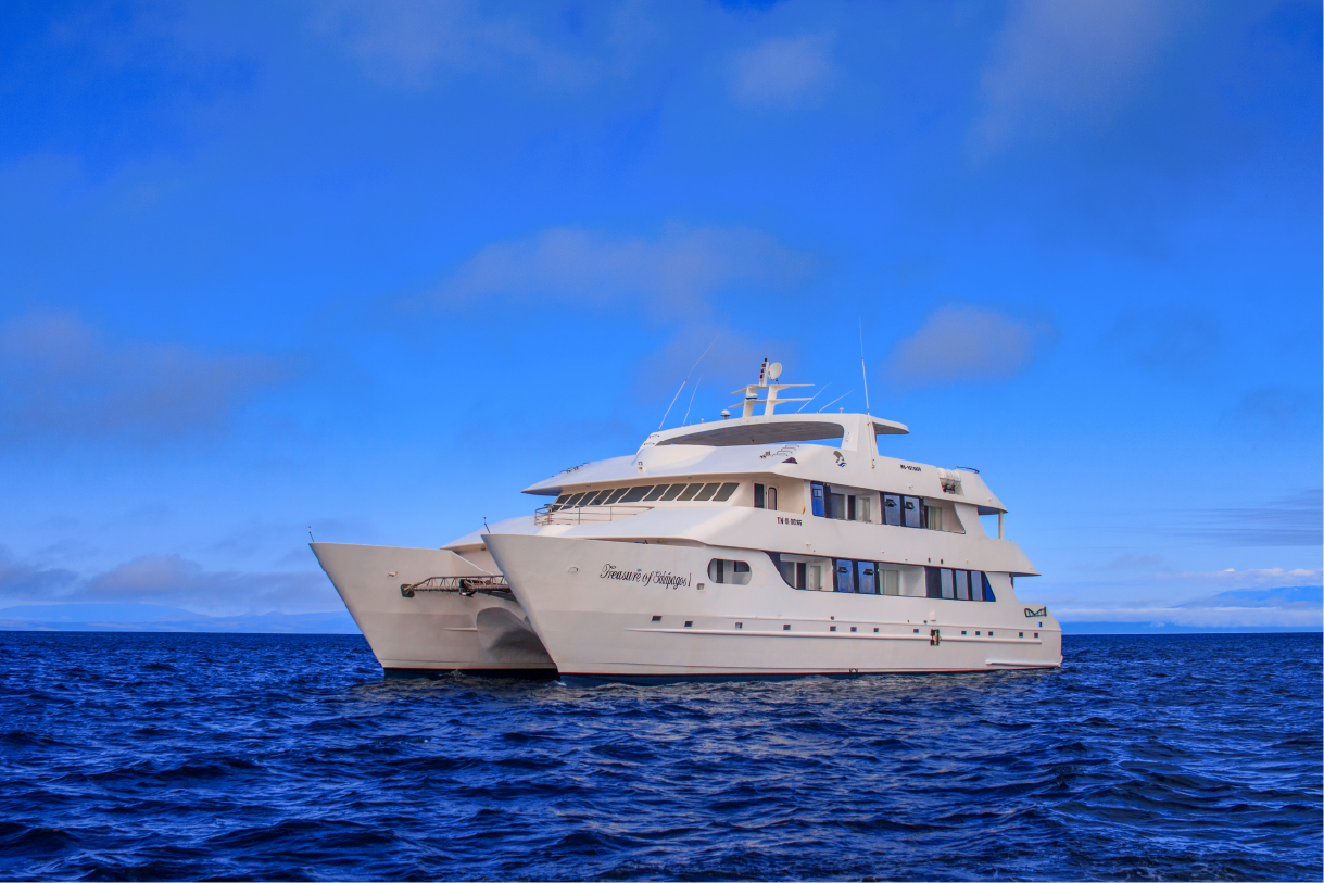 Motor Catamaran
