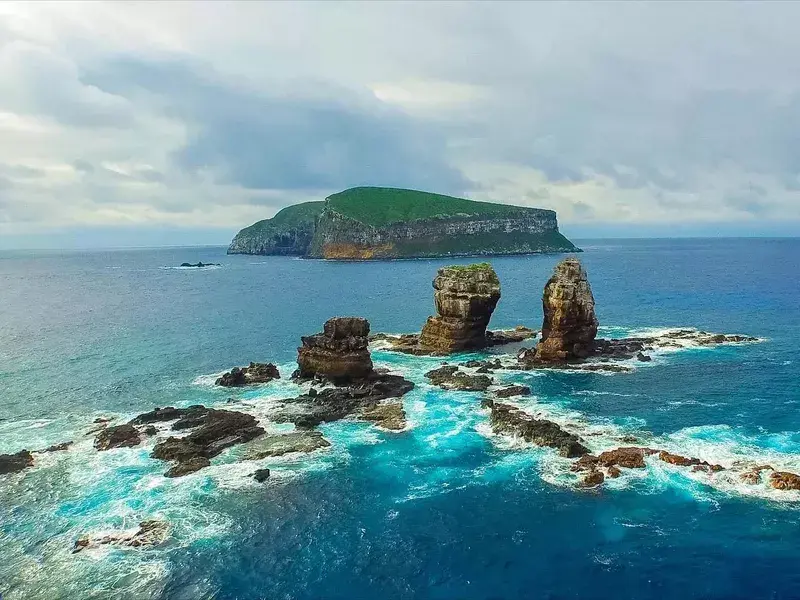 Darwin island