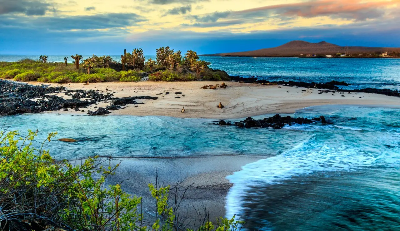 Floreana island