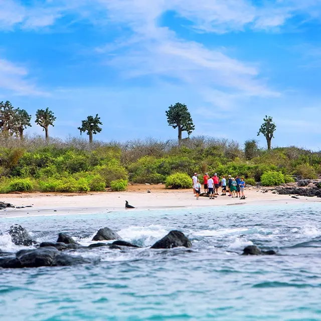 Galapagos january