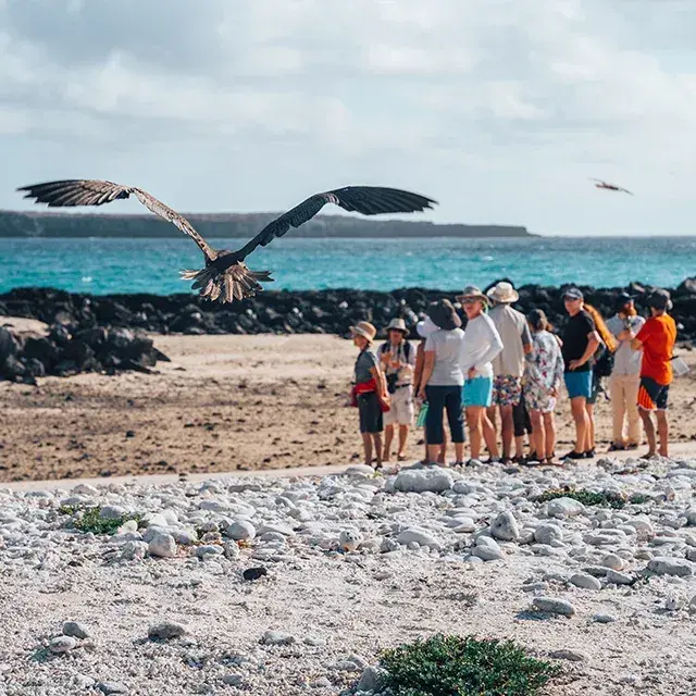 Galapagos march