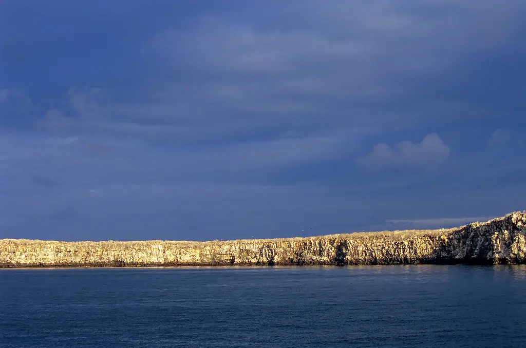 Genovesa island