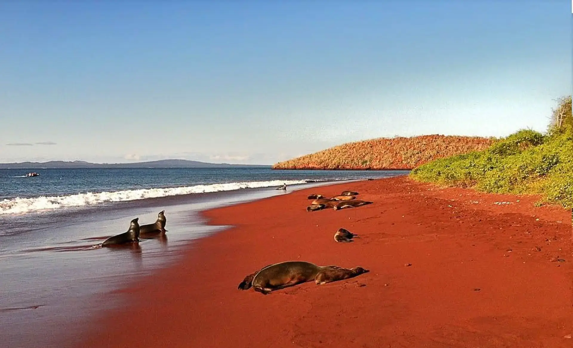 Rabida island
