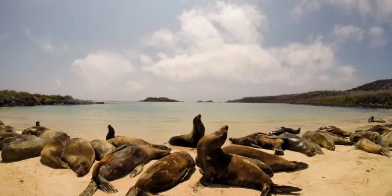 Santa fe island