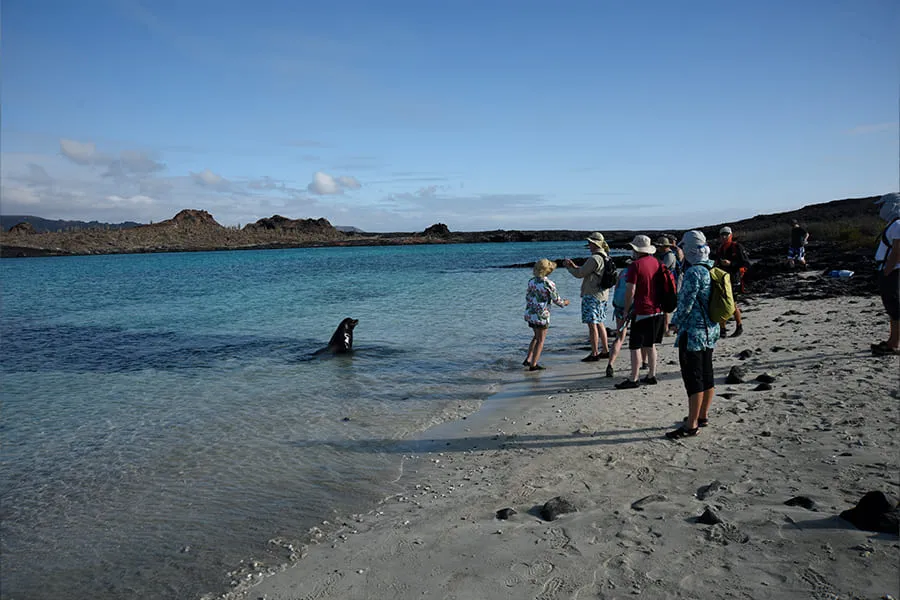 Galaxy Sirius Galapagos Yacht Activities