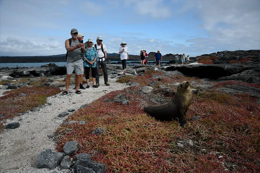 Galaxy Sirius Galapagos Yacht Activities
