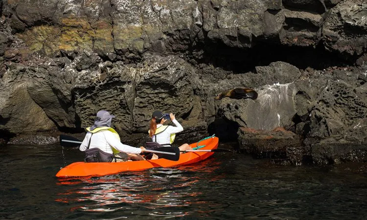 Grand Majestic Galapagos Cruise Activities
