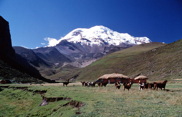 Hill con chimbo.jpg