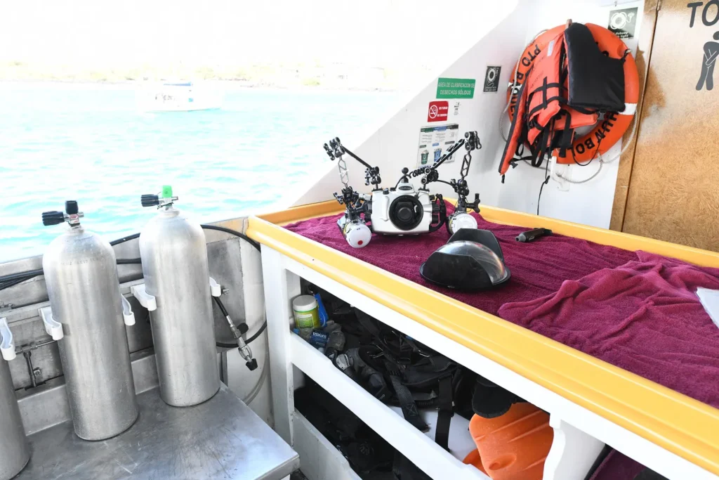 Humboldt Explorer diving