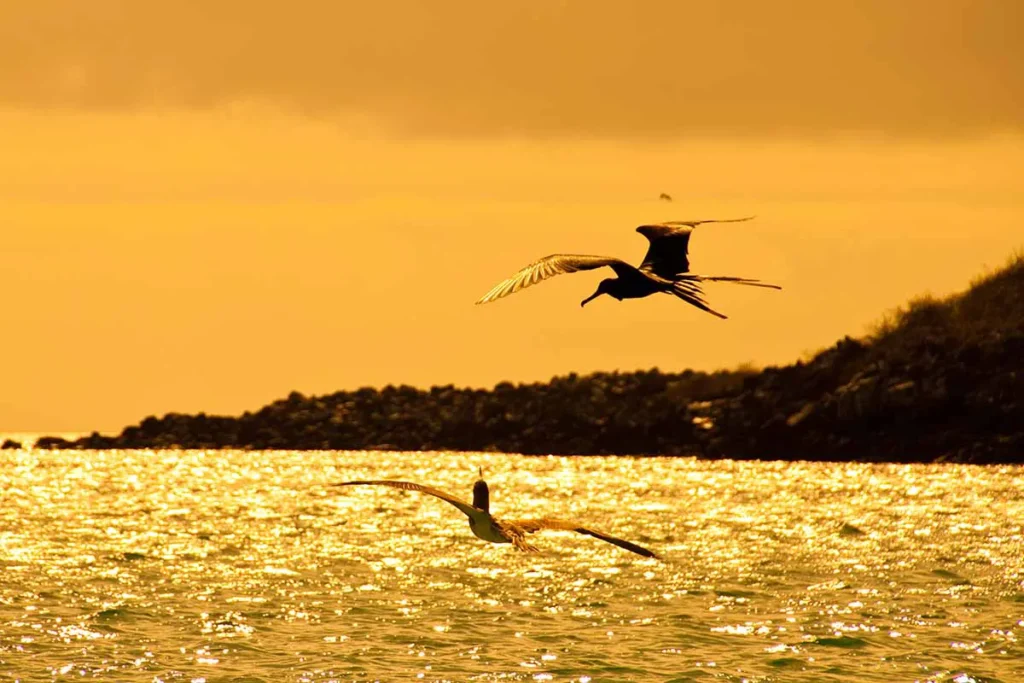 Infinity Galapagos Yacht Activities