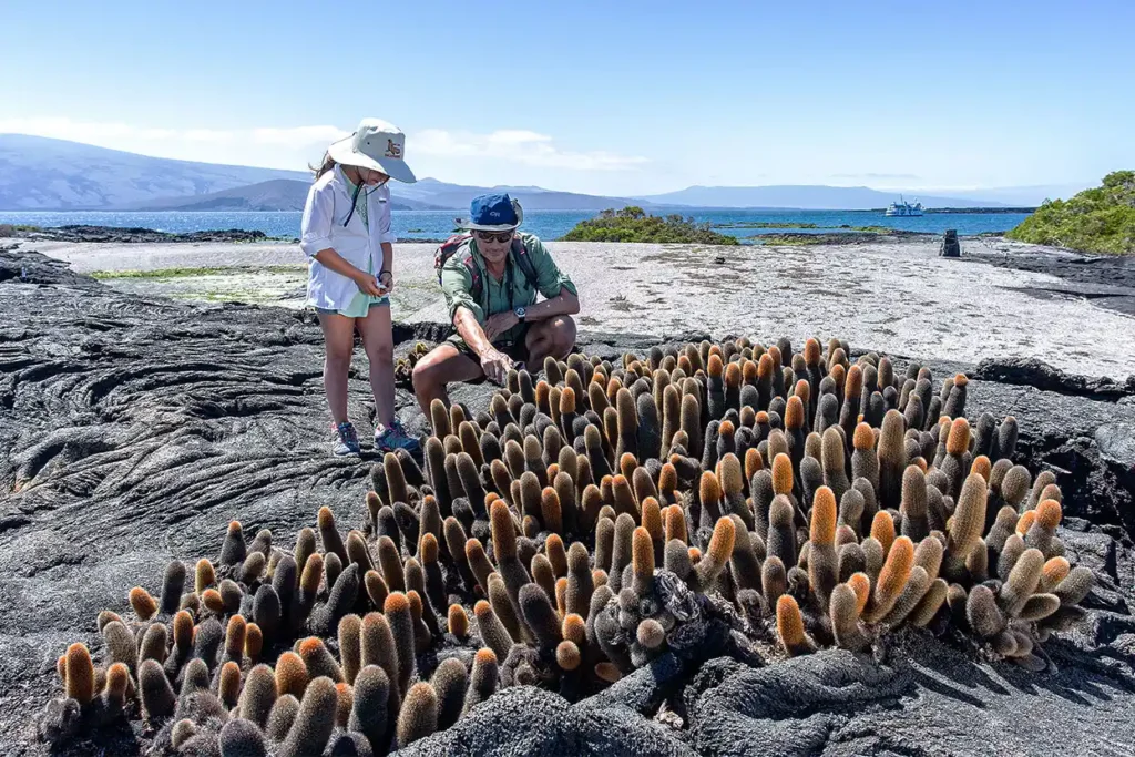 Isabela II Galapagos Cruise Activities