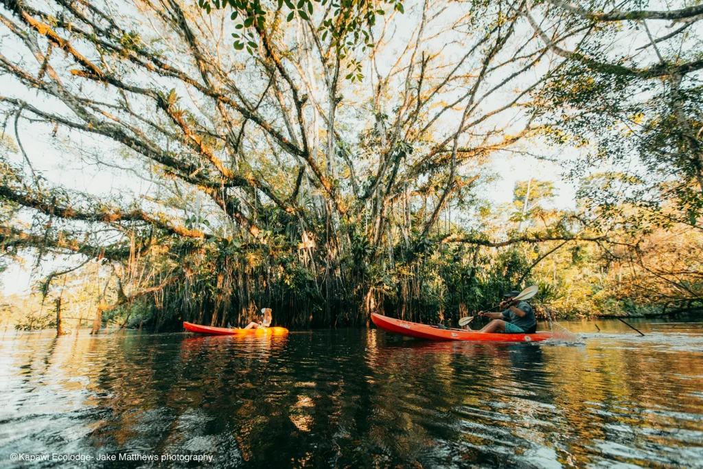 Kapawi Eco Lodge Amazon Activities