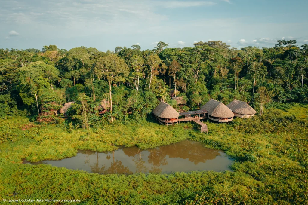 Ecuadorian rainforest luxury lodges
