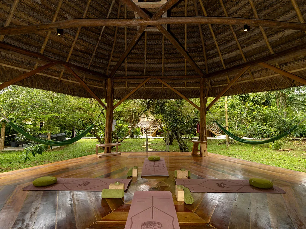 La Selva Lodge Interior Amazon Ecuador