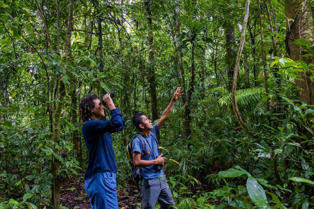 La Selva Lodge 4-Day Itinerary Amazon Ecuador
