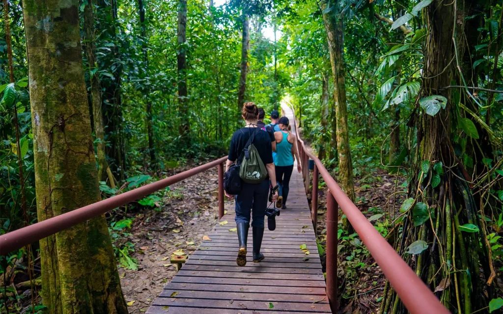 La Selva Lodge 5-Day Itinerary Amazon Ecuador