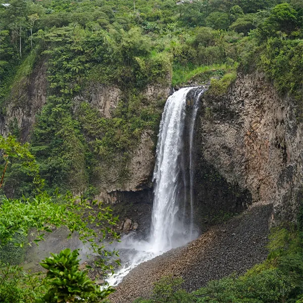 Birding Follow Mammals Prints Ecuador Day 10