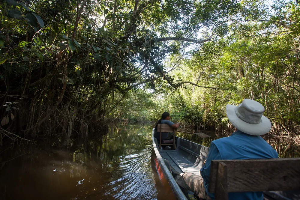 Manatee Amazon River Cruise Activities