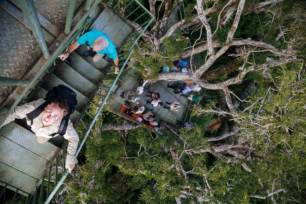 Manatee Amazon Cruise 5-Day Itinerary