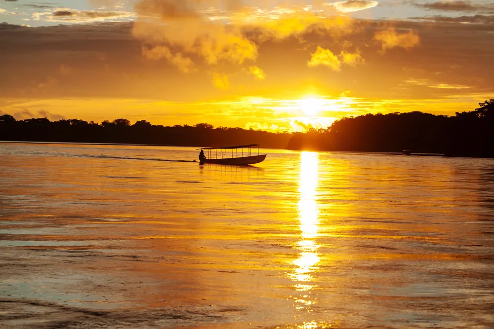 Manatee Amazon Cruise 5-Day Itinerary