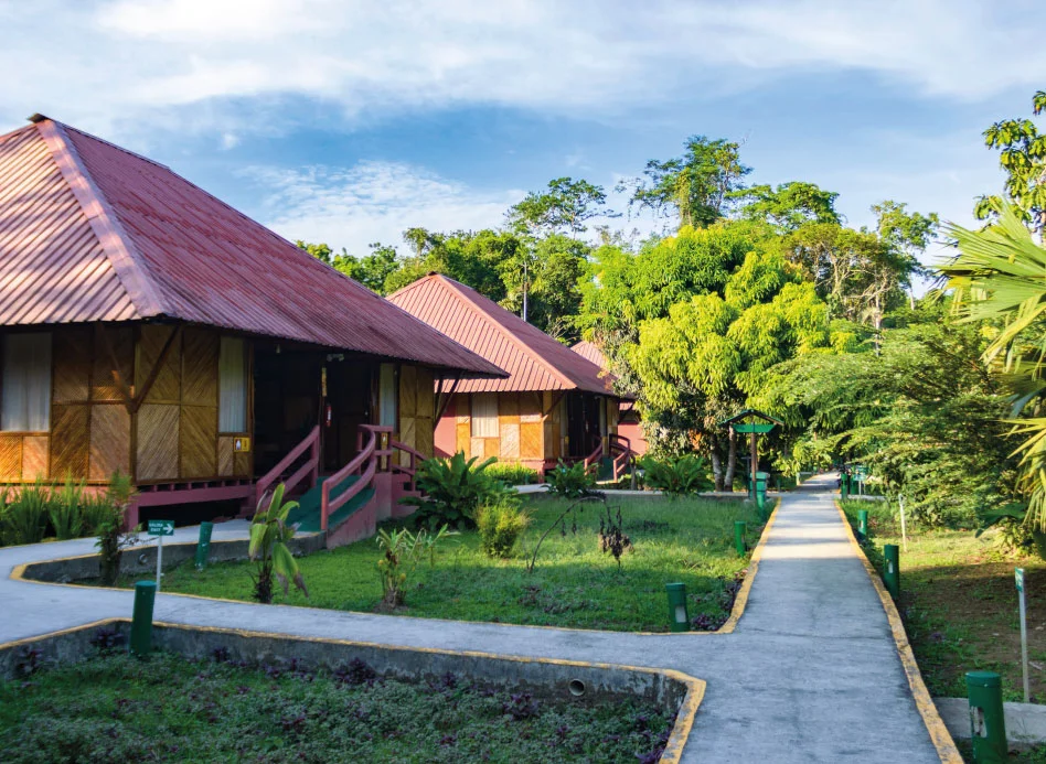 Napo Cultural Center Exterior Ecuador