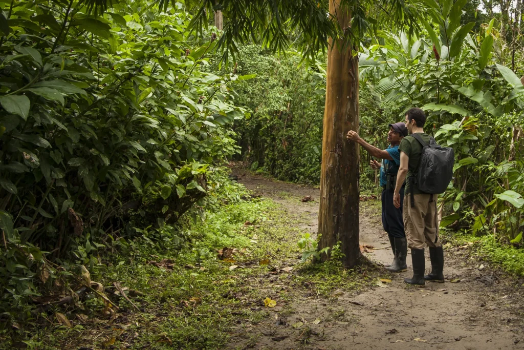 Napo Wildlife Center Amazon Activities