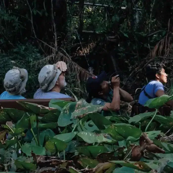 Napo Wildlife Center 4-Day Itinerary Ecuador