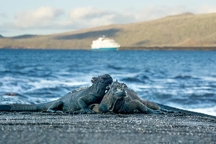 Natural Paradise Galapagos Catamaran Activities