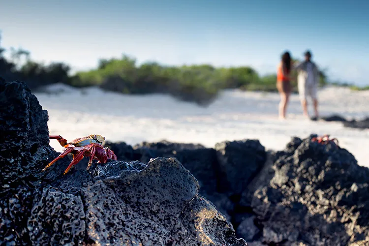 Natural Paradise Galapagos Catamaran Activities