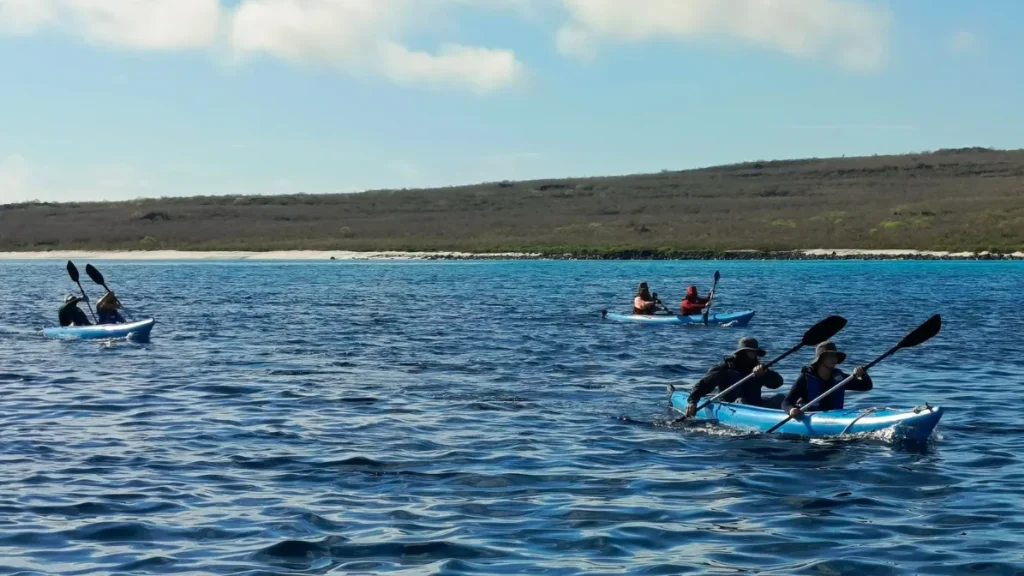 Nemo 2 Galapagos Catamaran Activities