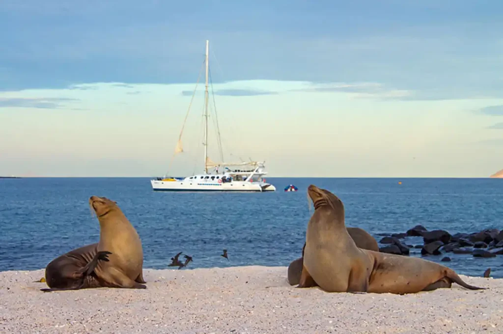 Nemo III Galapagos Catamaran Activities