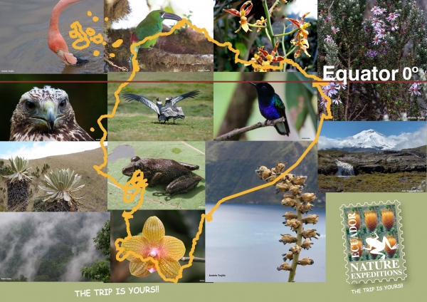 Ecuador