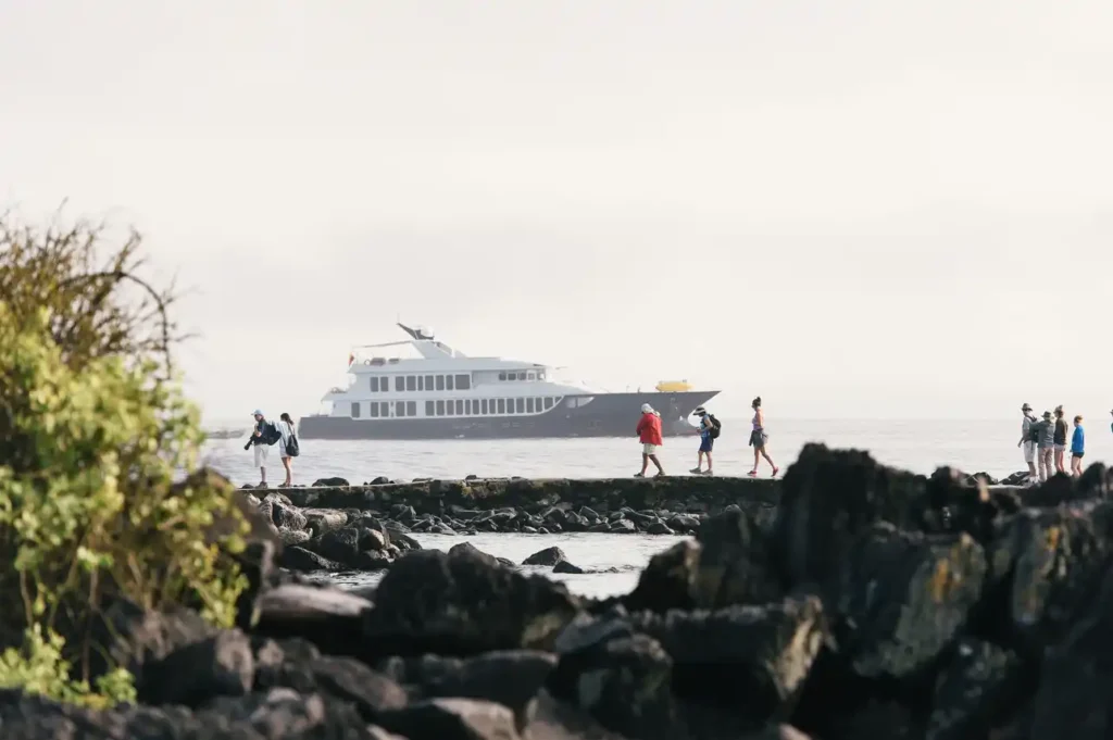 Theory of Evolution Galapagos Yacht Activities